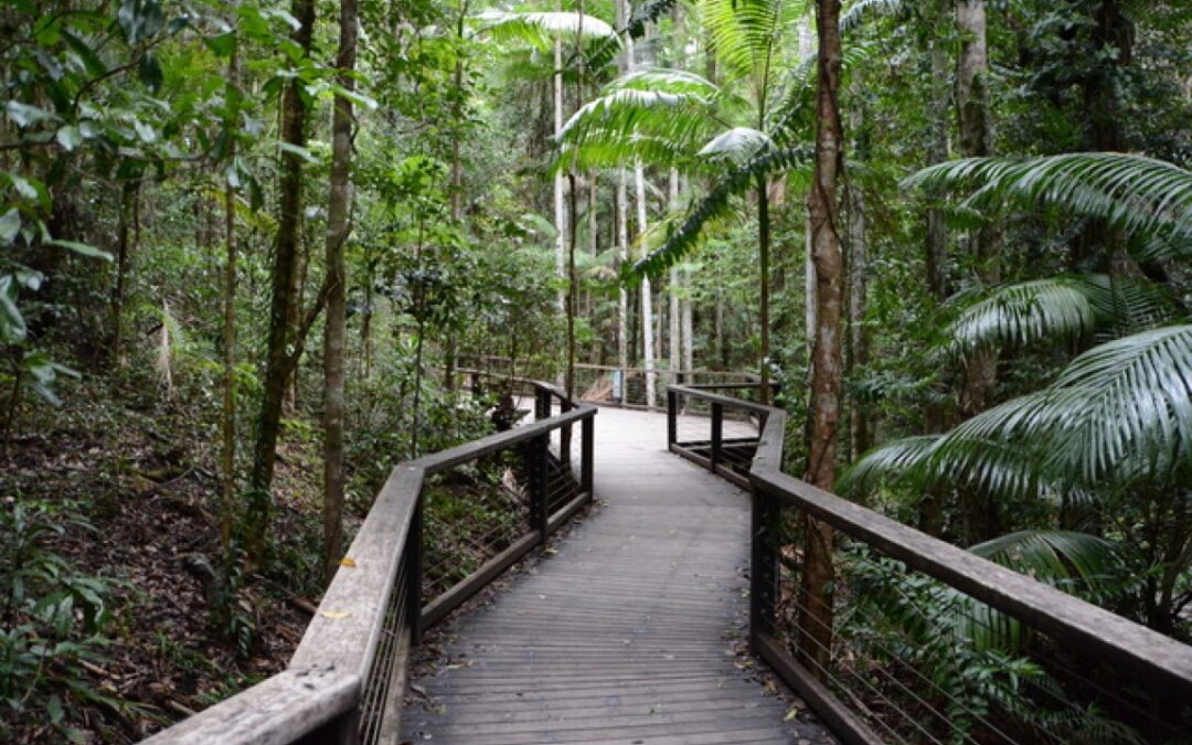 Dein Körper und dein Gefühl sind nicht deine Feinde!