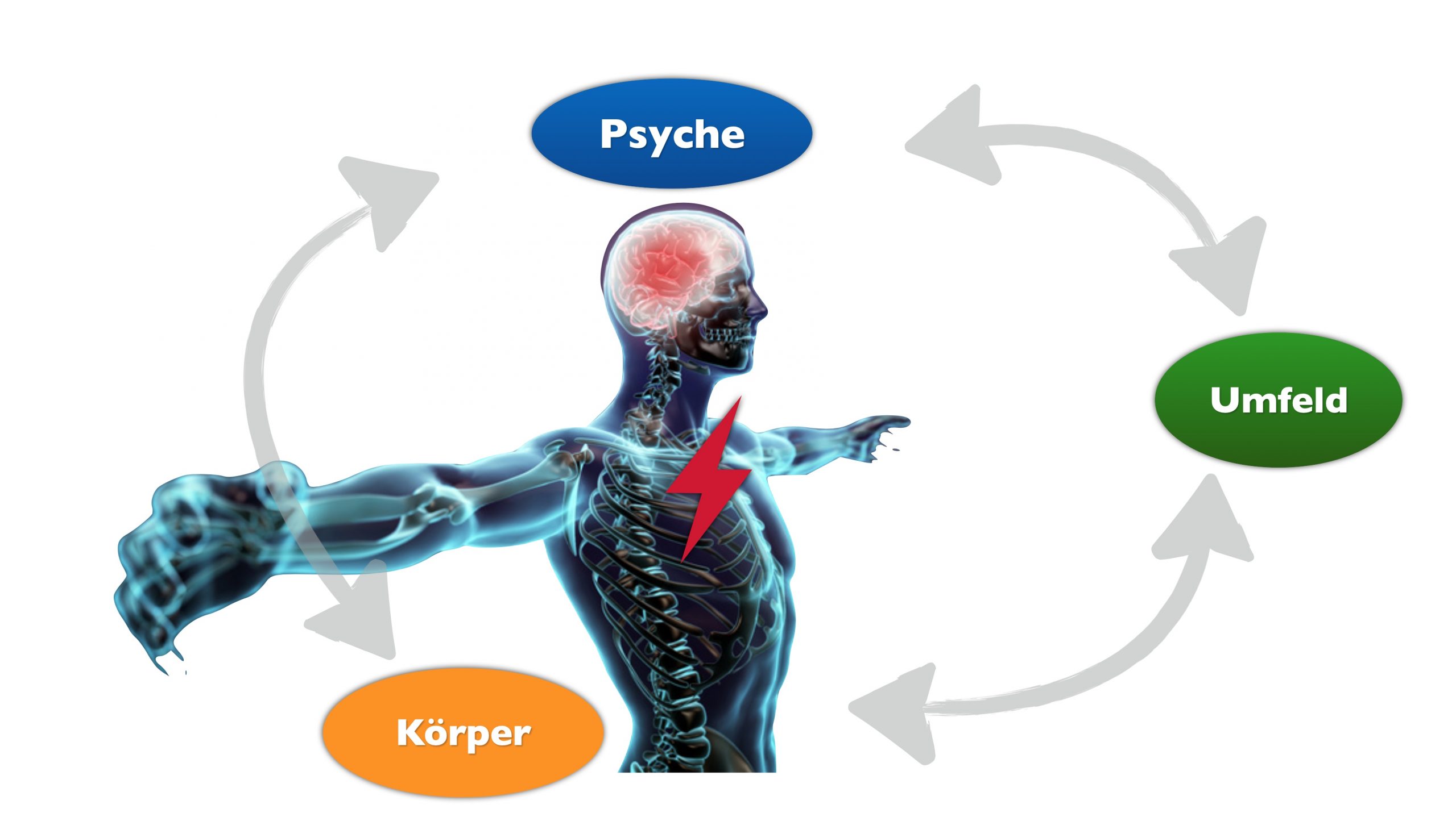 das Biopsychosoziale Modell als Erklärung des Readiness Ansatzes