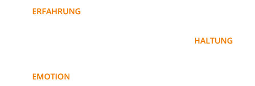 grafik-wie-entsteht-haltung